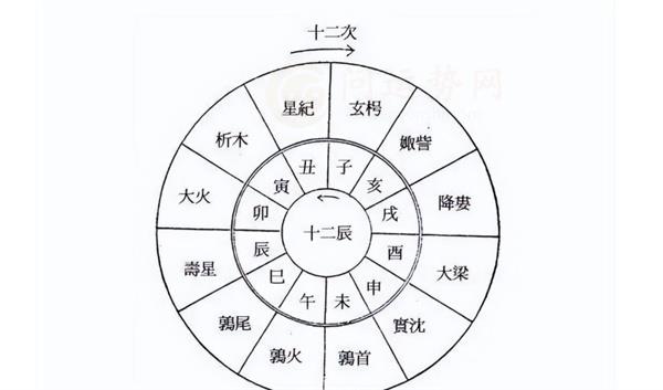 最全的天干地支五行对照表 天干地支五行对照表包含什么内容