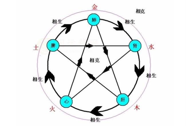 八字命宫之子宫解析 八字命宫之子宫有什么含义