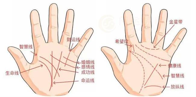 各种手相适合做的事情 手相看你适合从事哪种职业