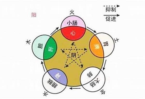 名字五行属性计算方法：金木水火土解析