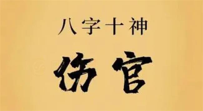 男带伤官不利子的原因 为什么八字命理男带伤官不利子