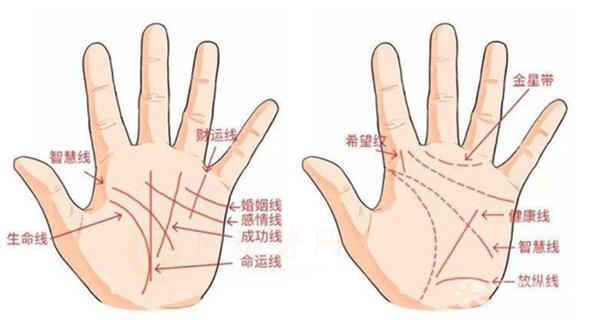 有福气男人的手相特征 男人最有福气的手相是哪几种