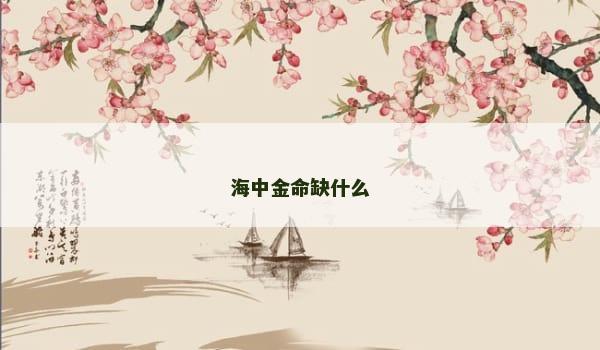 海中金命缺什么