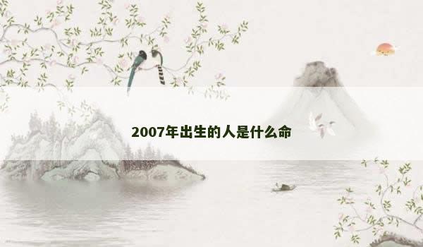 2007年出生的人是什么命