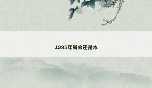 1995年属火还是木