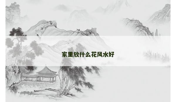 家里放什么花风水好