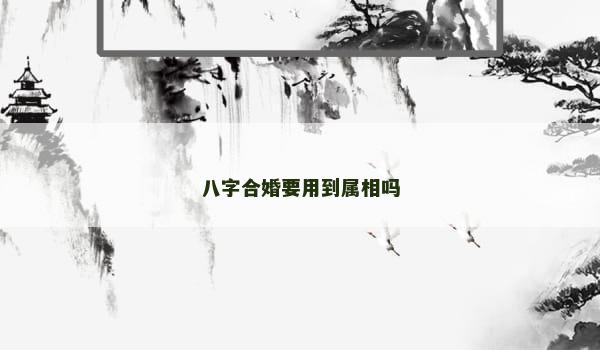 八字合婚要用到属相吗