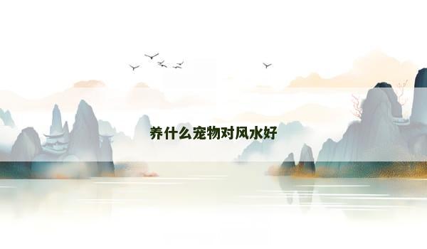 养什么宠物对风水好