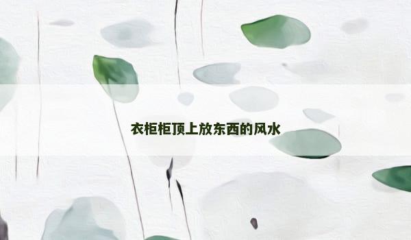 衣柜柜顶上放东西的风水