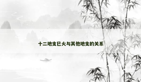 十二地支巳火与其他地支的关系