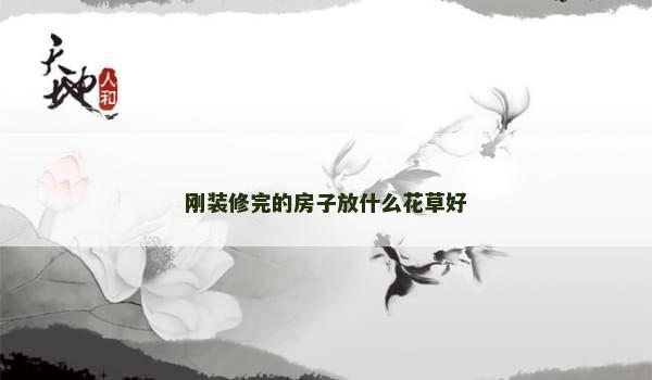 刚装修完的房子放什么花草好