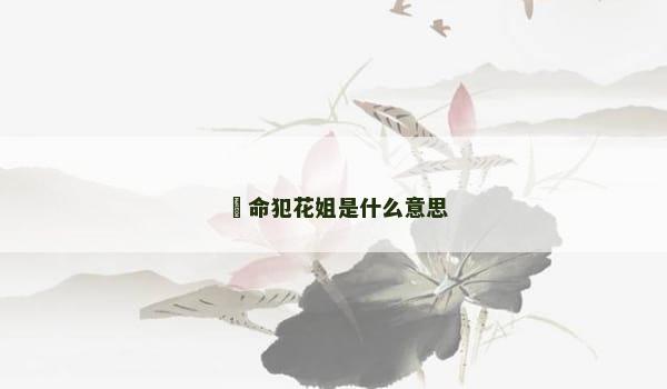 ​命犯花姐是什么意思