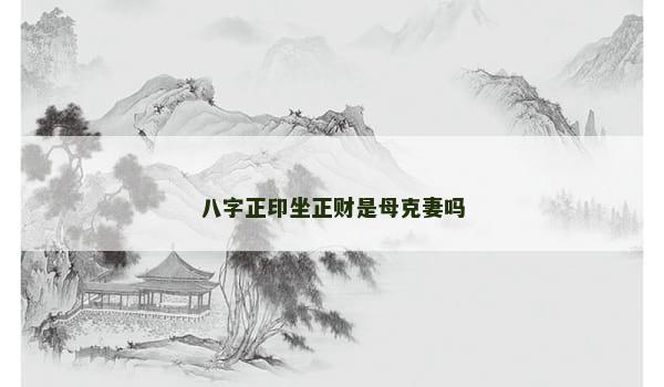 八字正印坐正财是母克妻吗