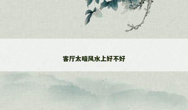 客厅太暗风水上好不好