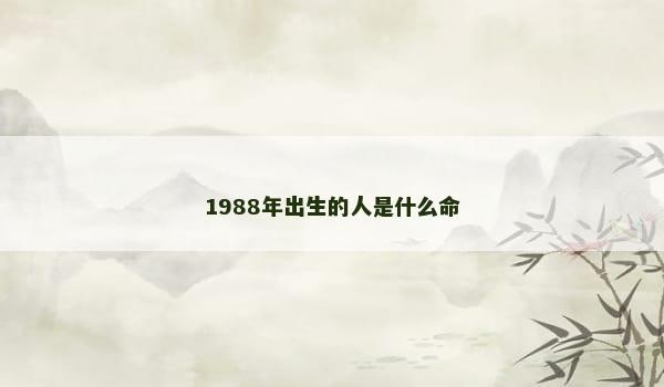 1988年出生的人是什么命